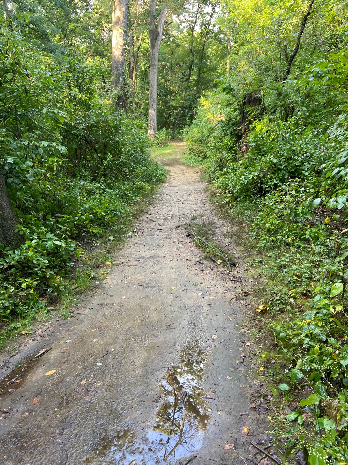 Narrow fairway on 9