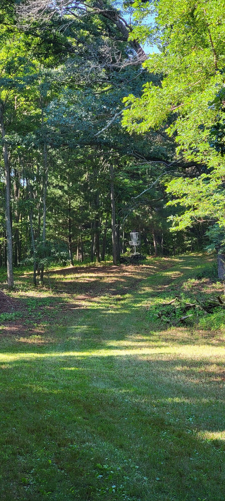 Middle of fairway  #1