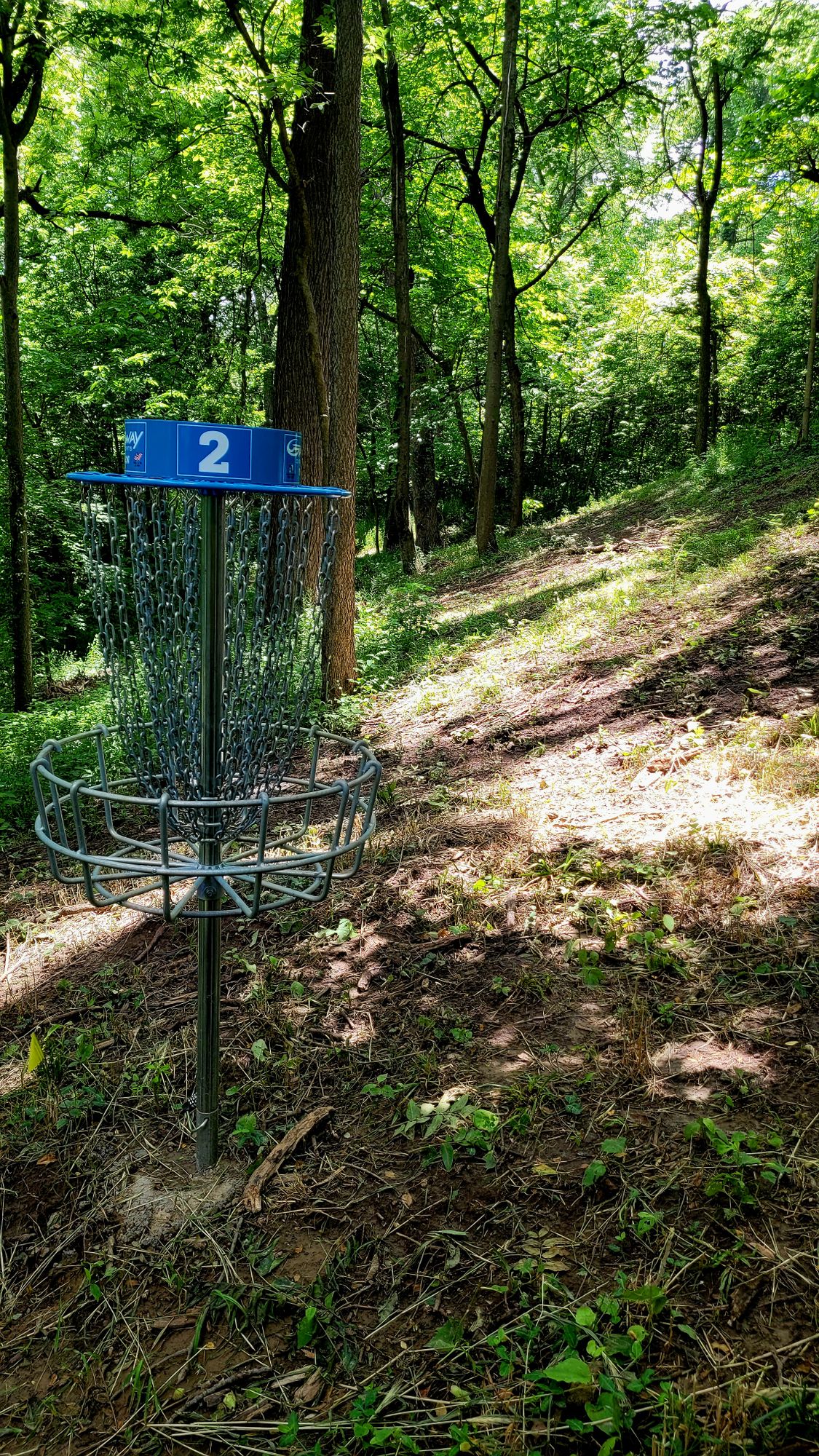 Hole 2
Basket to Fairway