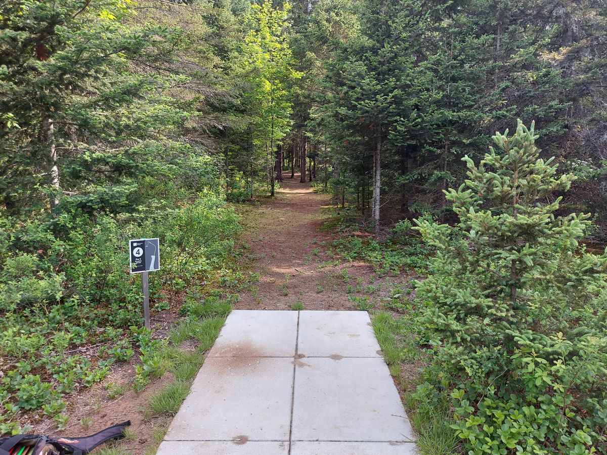 Tee pad 4. 🍁🌲🍁🌲🍁🌲