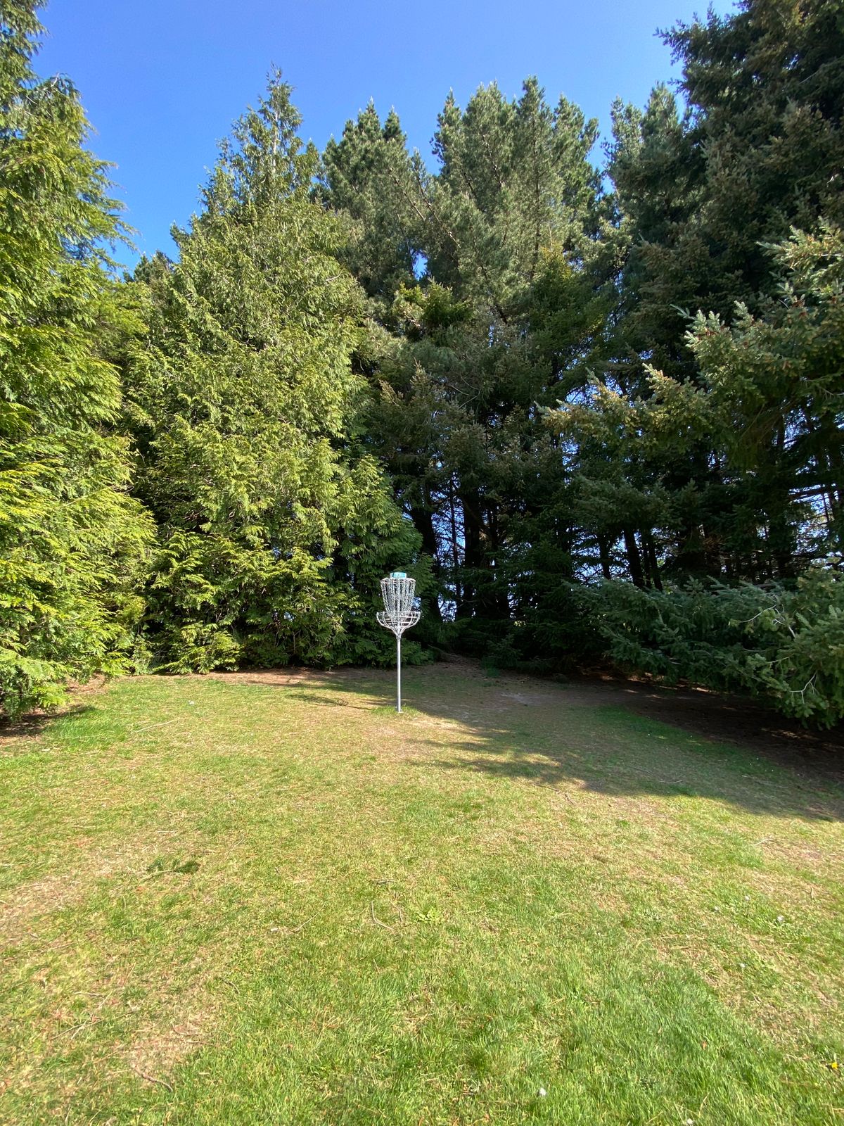 "The Magic Track" basket at the top of a rolling hill.