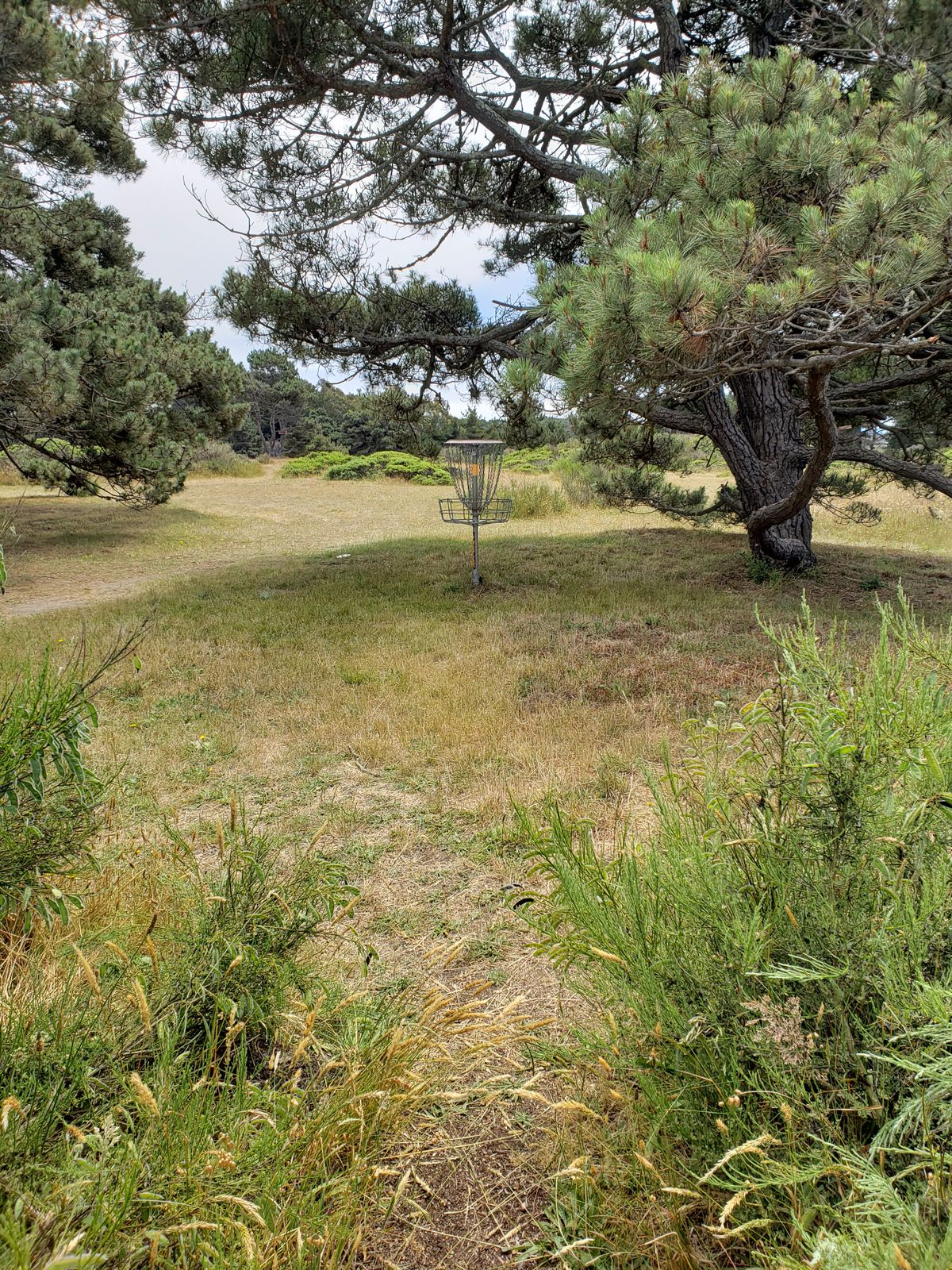 Hole 1