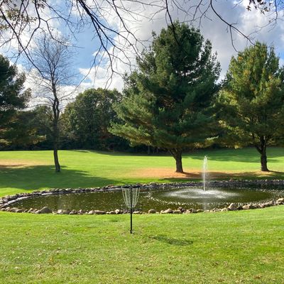 Hole 14 basket