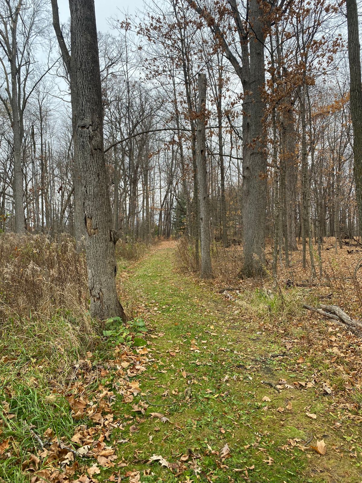 Hole 4 from the Tee pad.