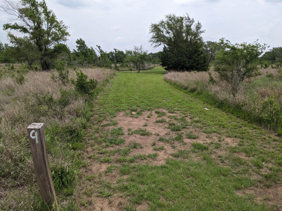 Hole #9