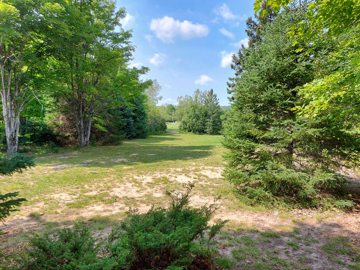 Reverse back down fairway on hole 1.🍁👍🍁👍🍁
