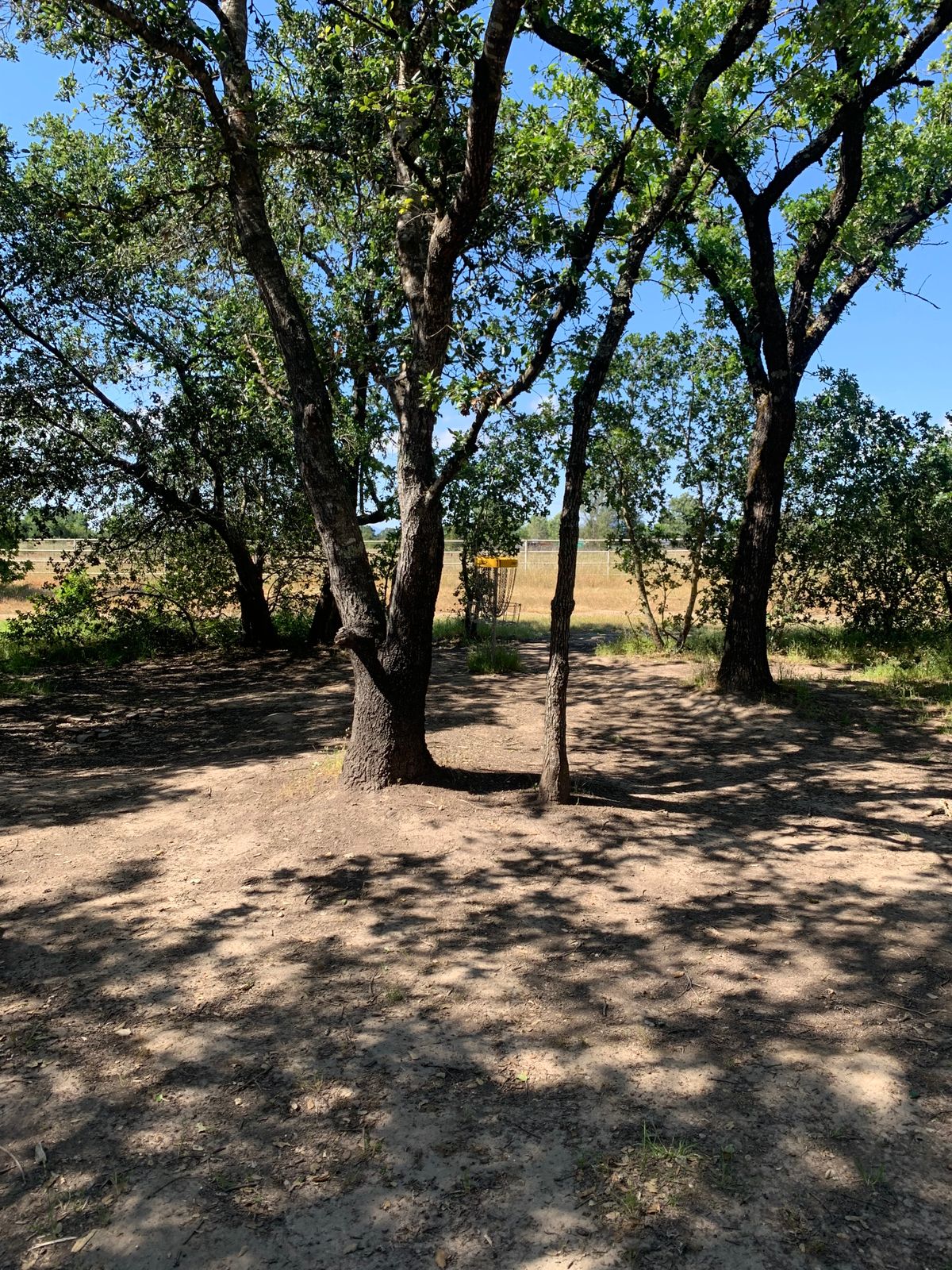 Hole 11 gap shot