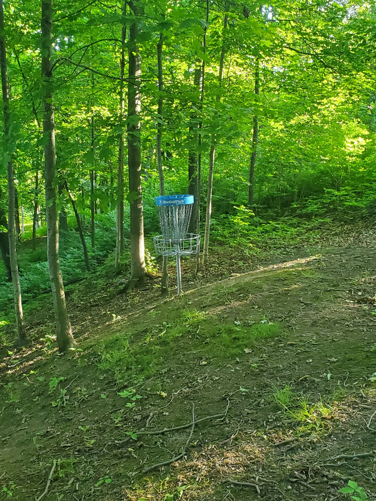 Hole 17 basket