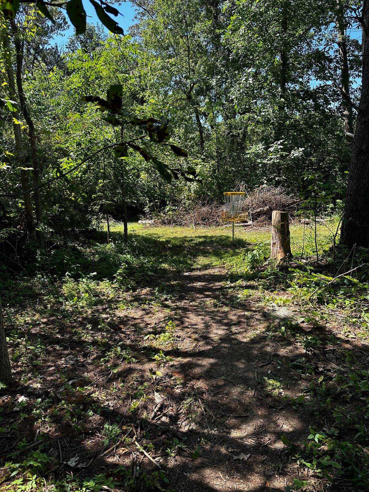 Hole one basket