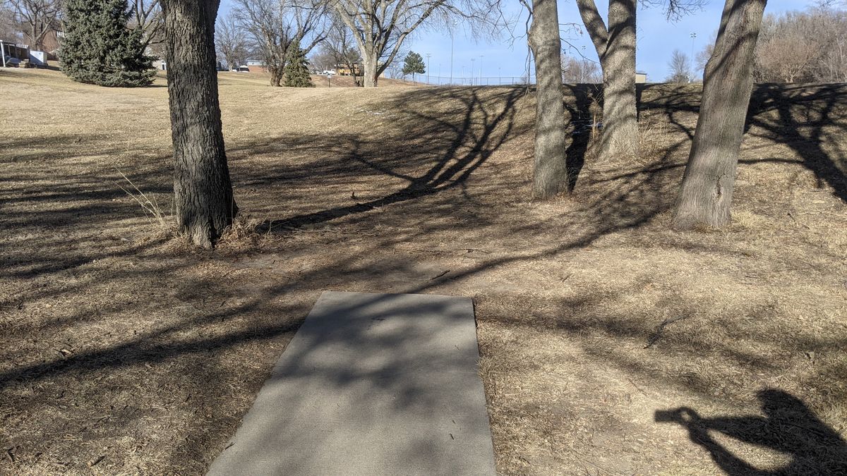 Tee #8