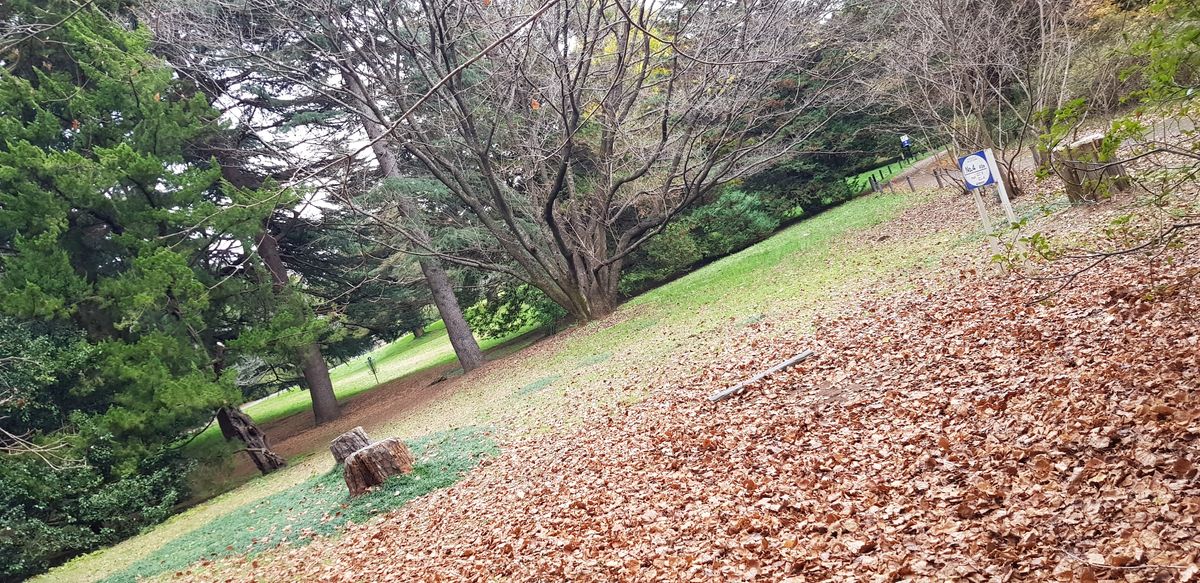 Hole 4