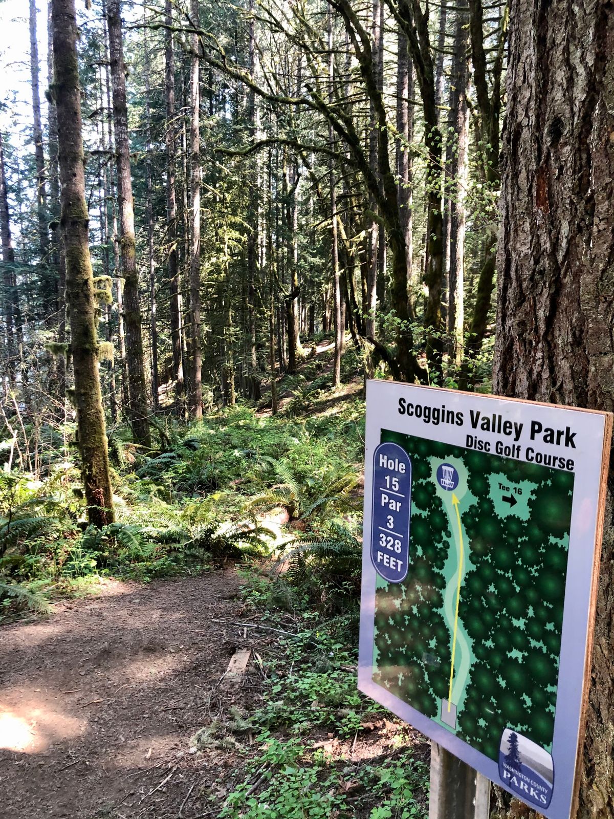Hole 15, tunnel shot with drop off left