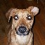User avatar image
