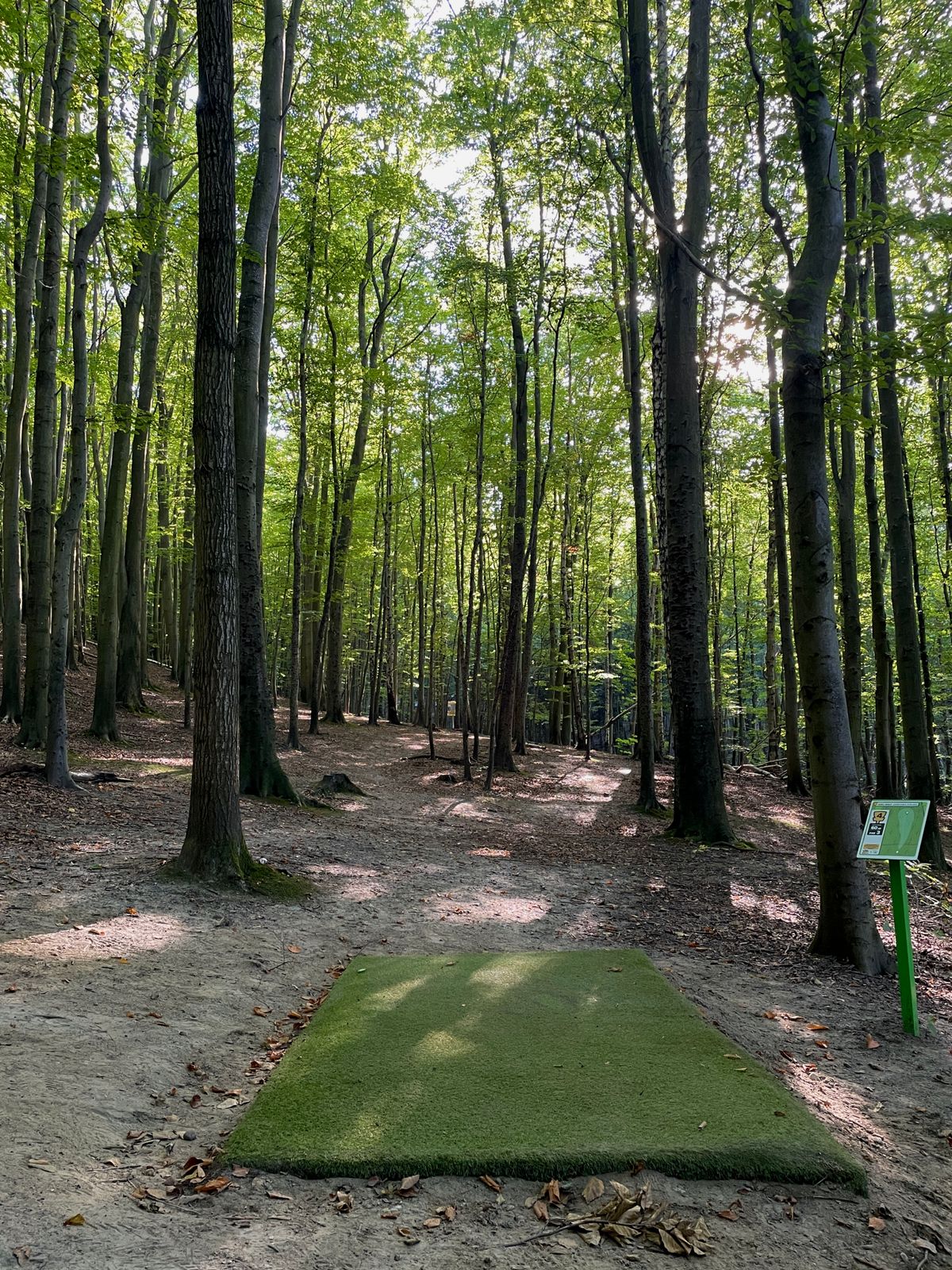 Hole 4