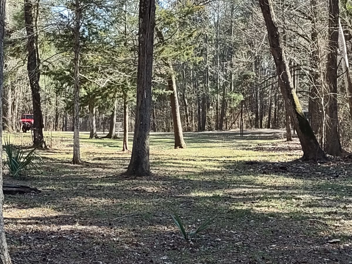 #1 Fairway