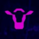 thecow