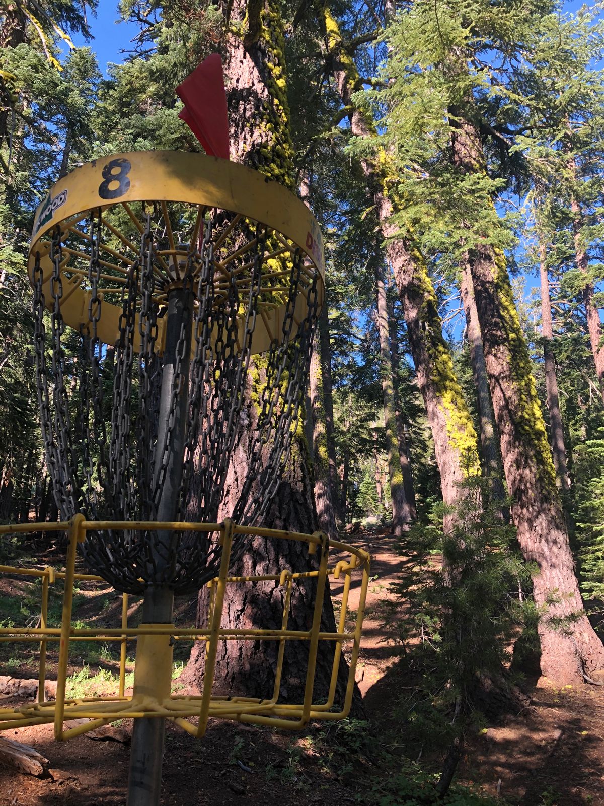 Looking up towards tee