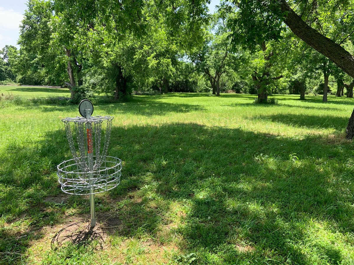 View from 13 basket