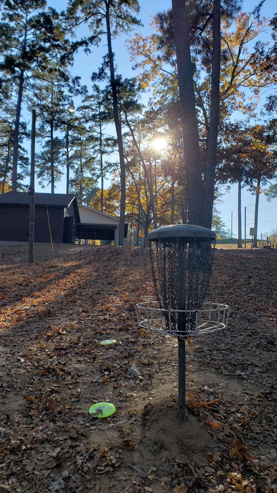 Hole #11 Basket