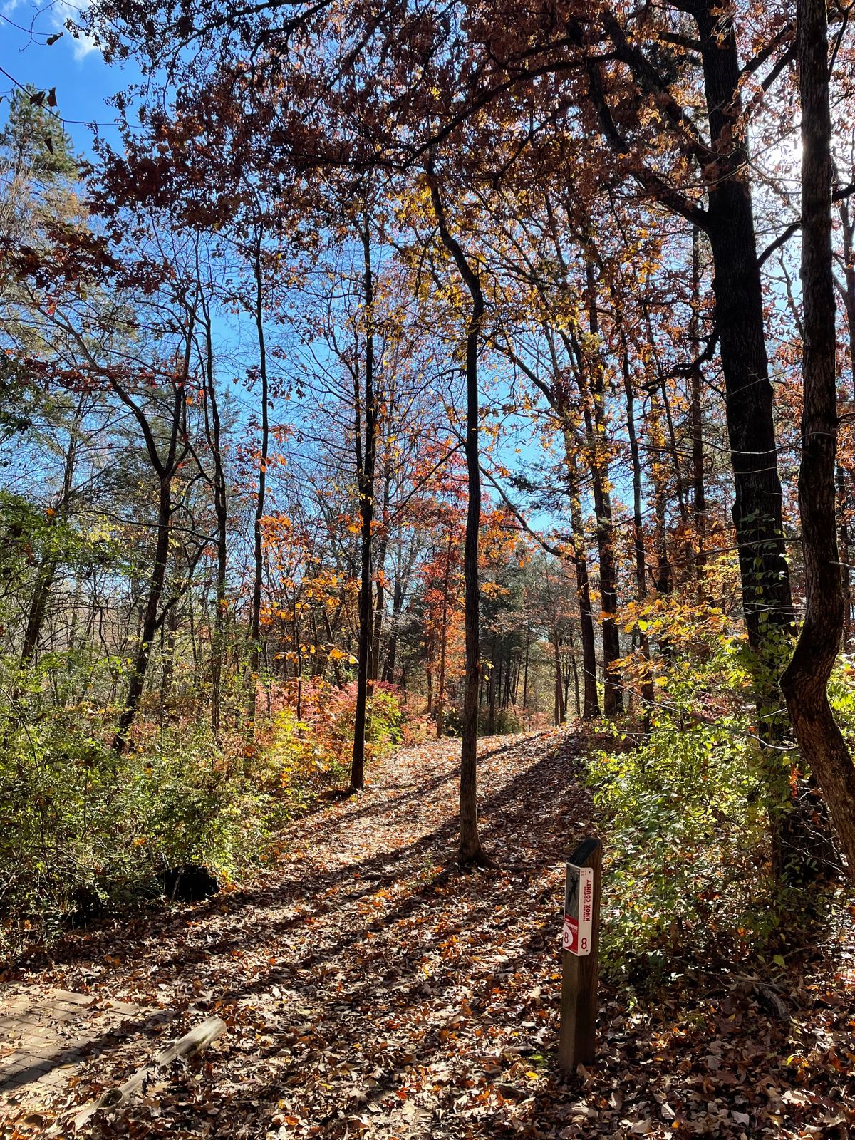 Short tee pad at hole 8