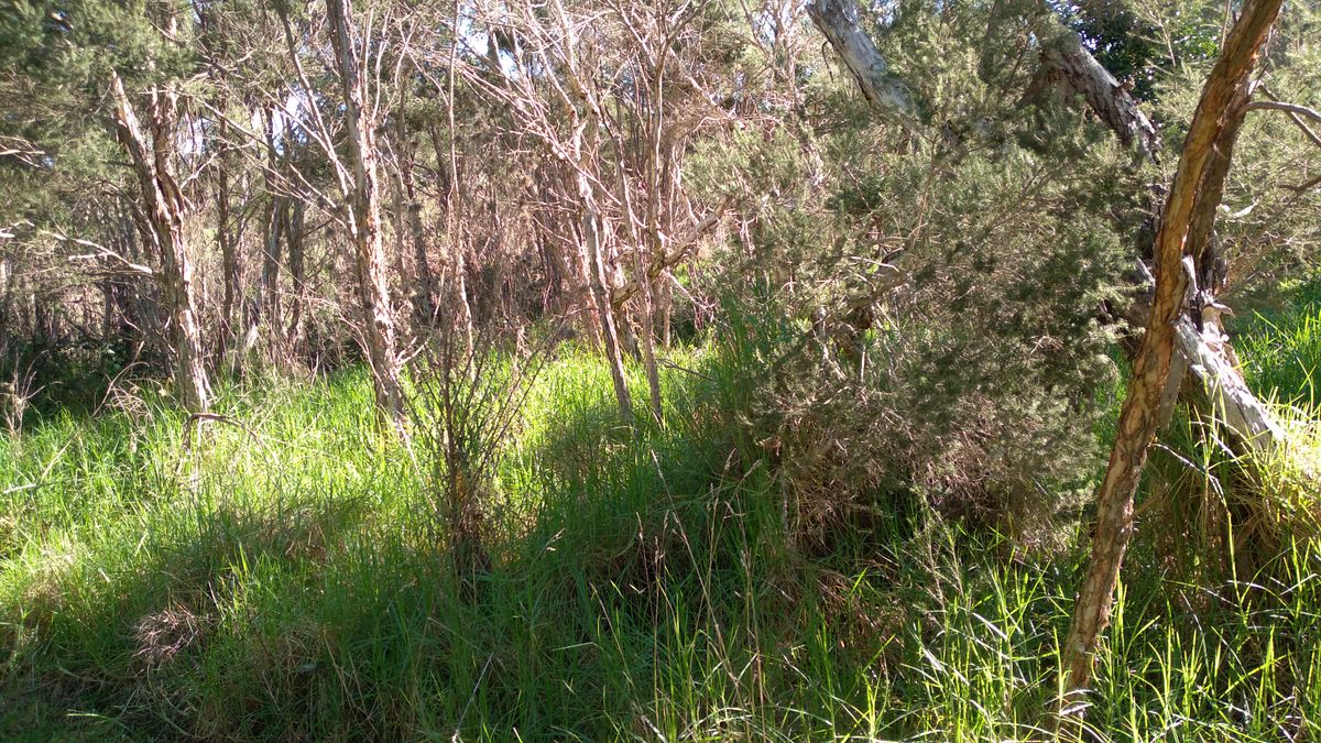 The rough here... is rough.. don't use dark coloured discs.
