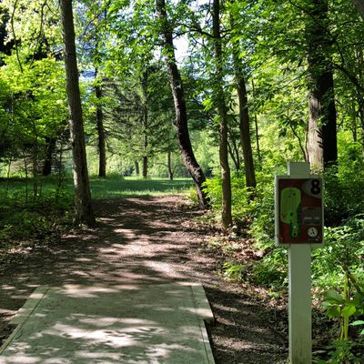 Hole 8