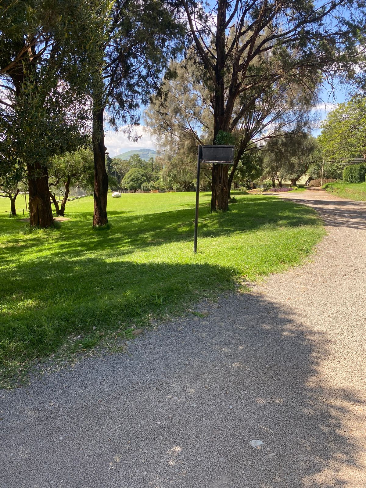 Target of hole 11 (black sign post)