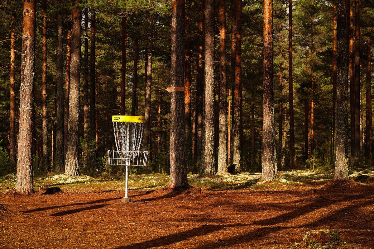 Basket hole 23