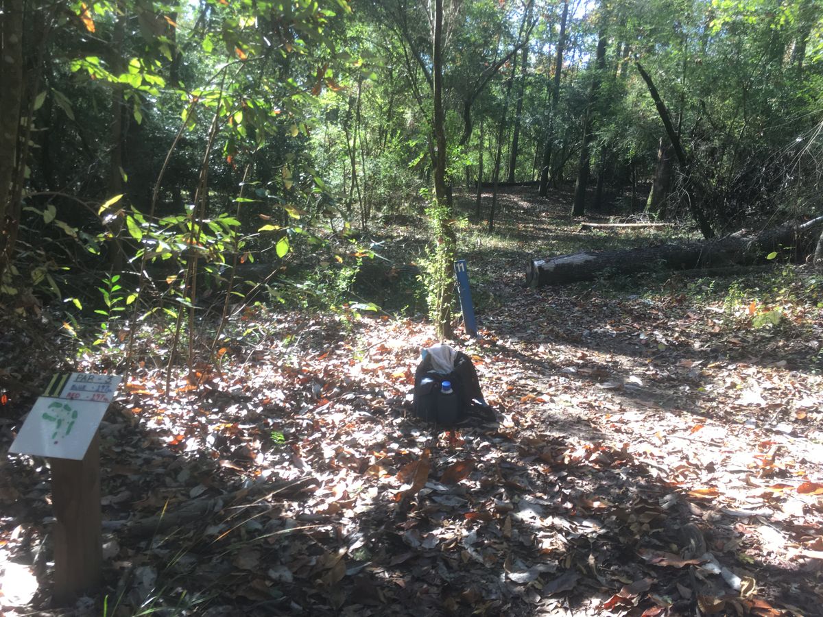 Hole 11 Tee