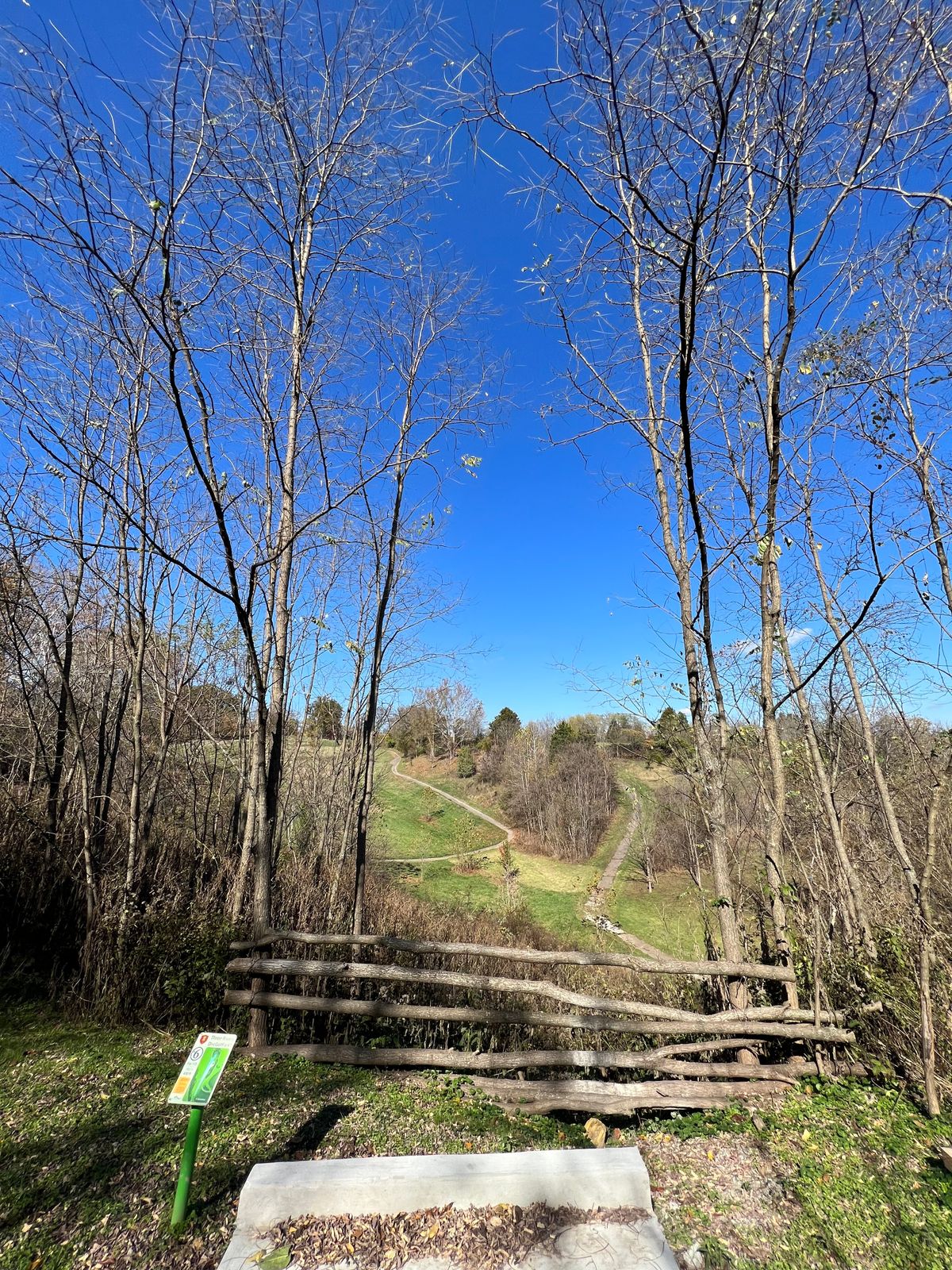 Hole 6 Tee
