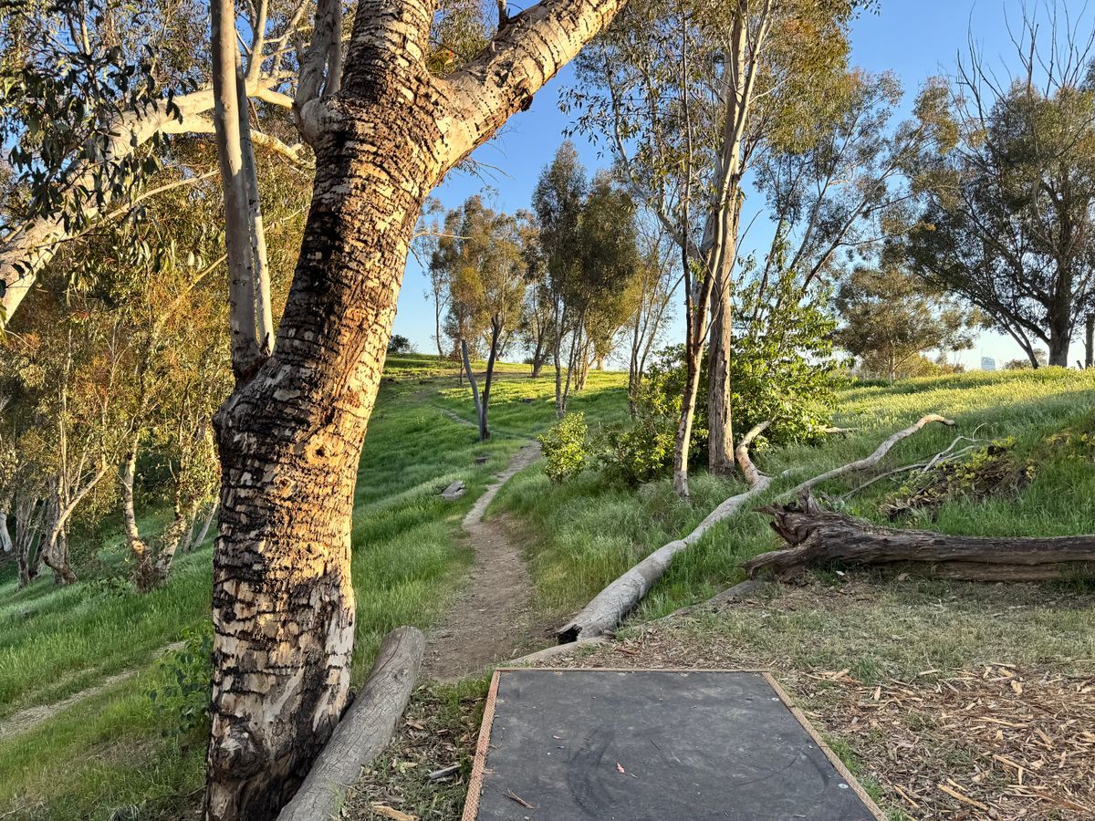 10 tee box