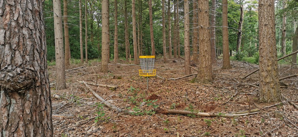 Hole 15