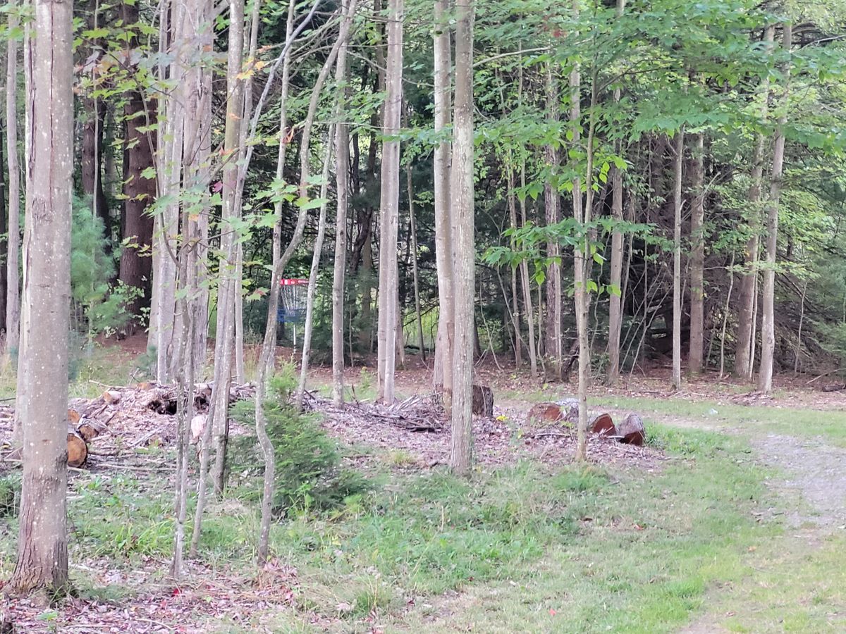 Tough upshot from hole 8