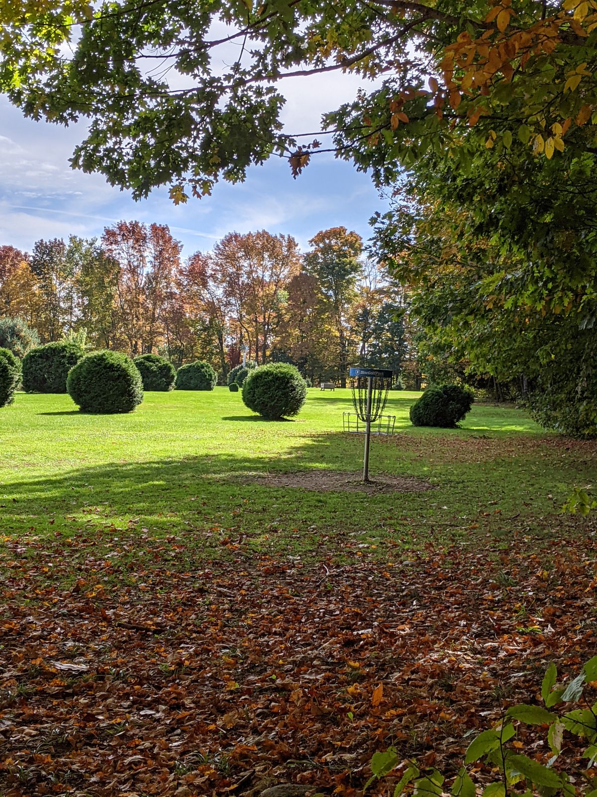 Hole 18 Disc Golf Park basket added 2021