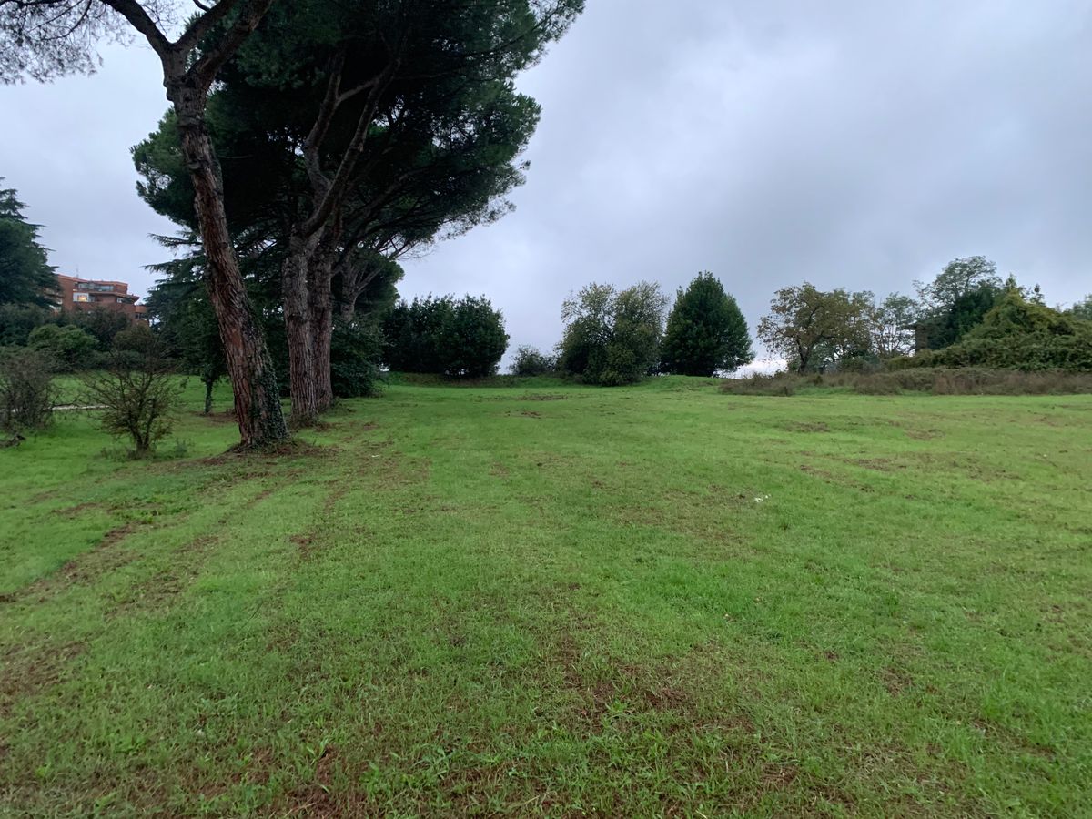 Fourth tee looking toward fourth basket