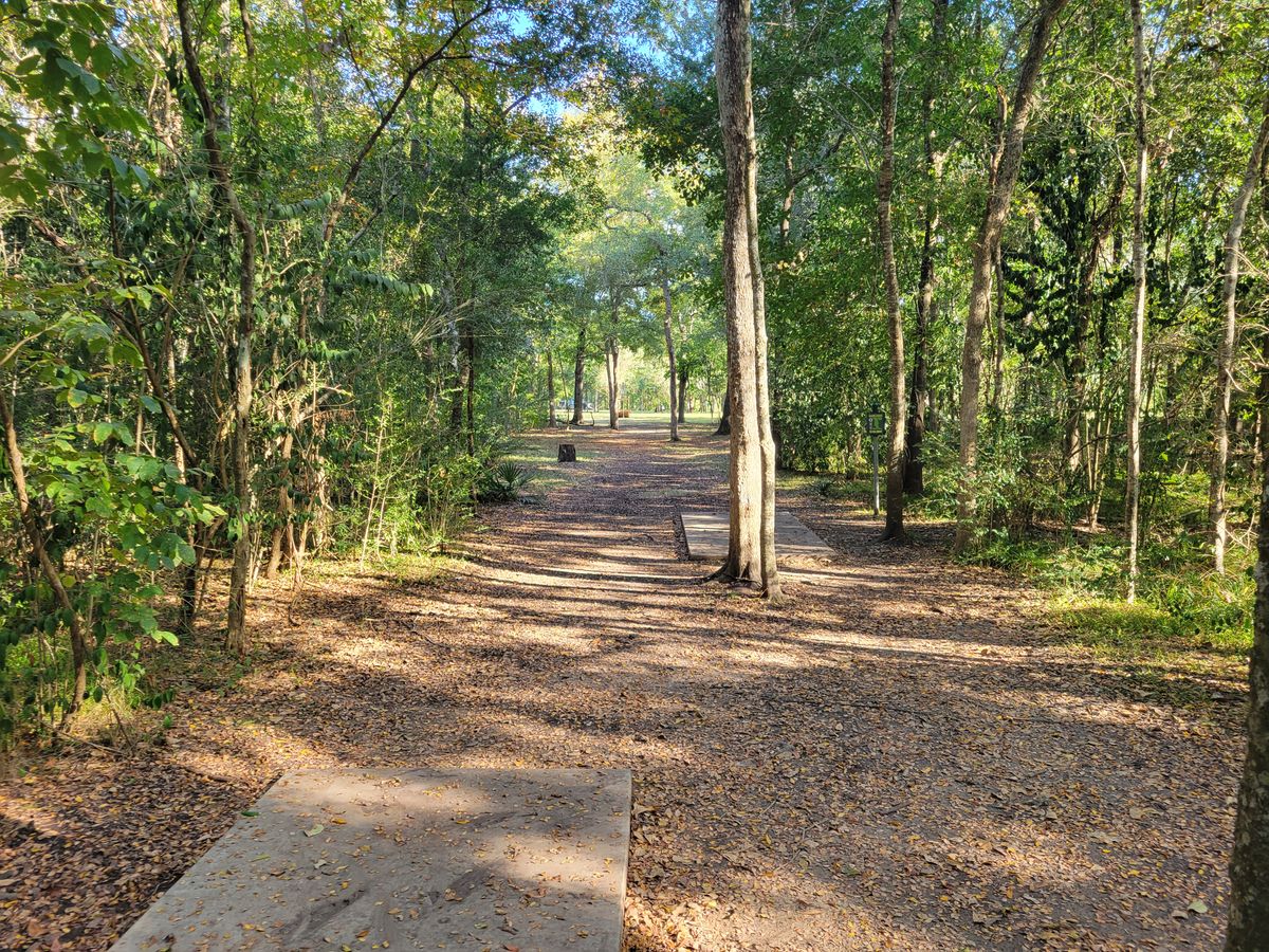 2 long and short pads