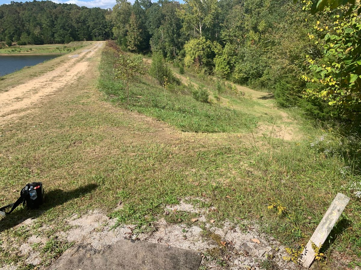 Tee box for hole 1 with the basket down the hill tucked to the right side.