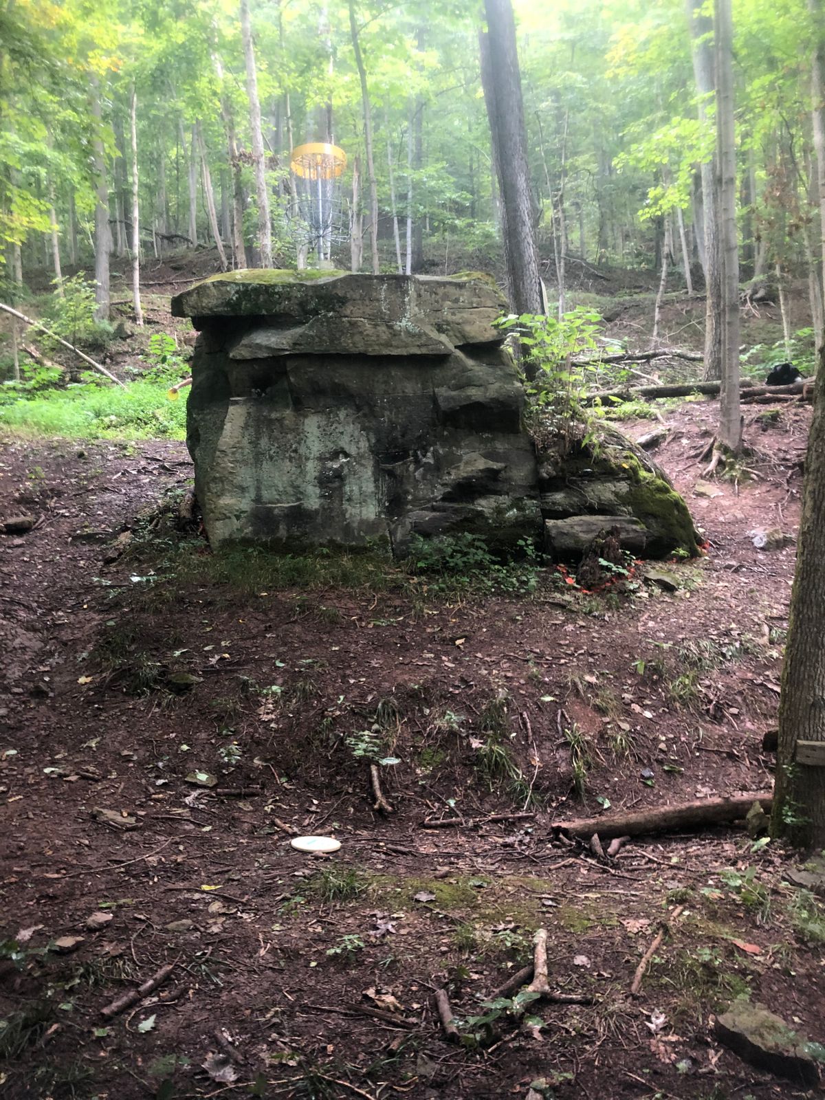 Hole 10