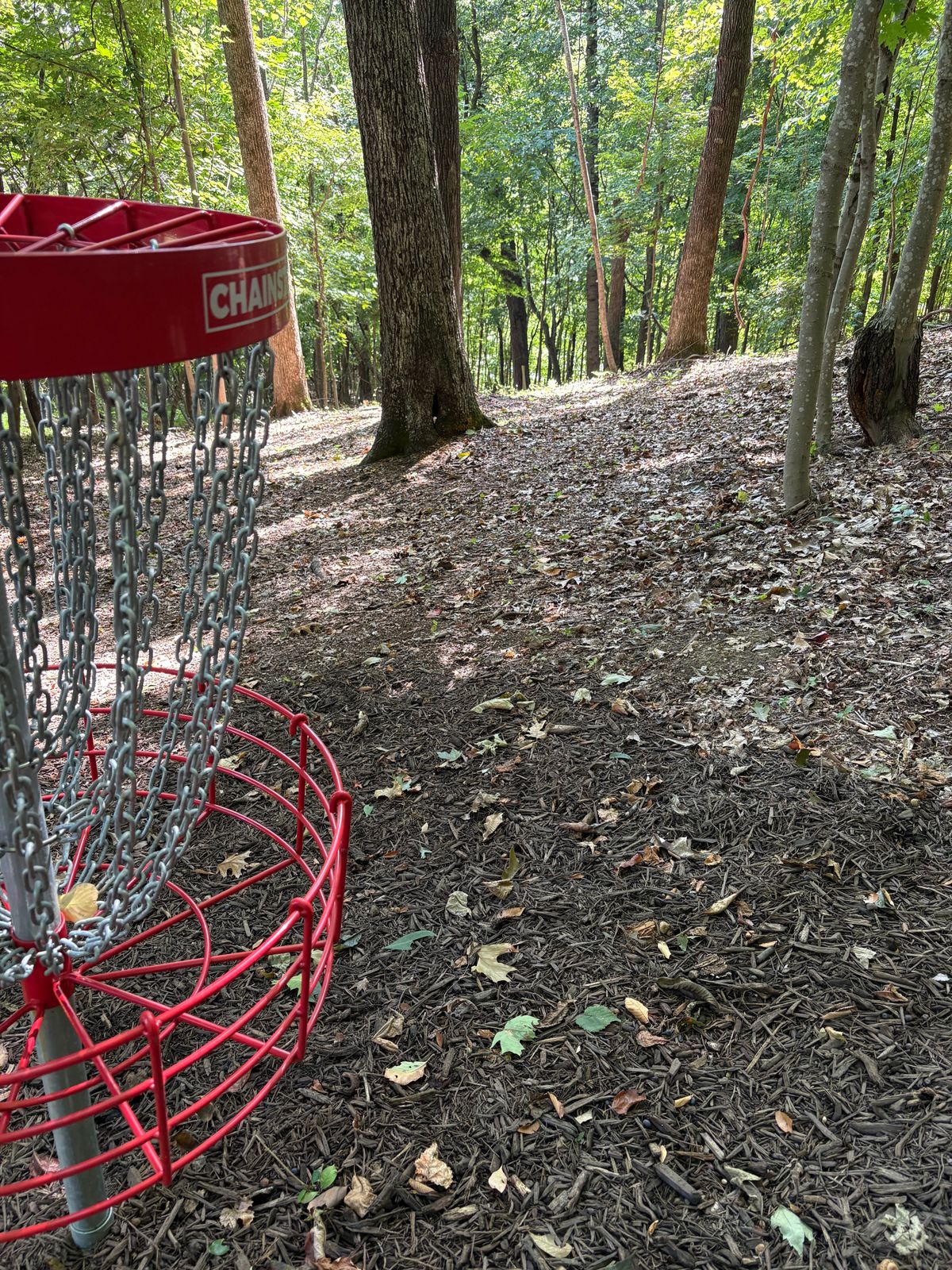 Hole 2 looking back to tee