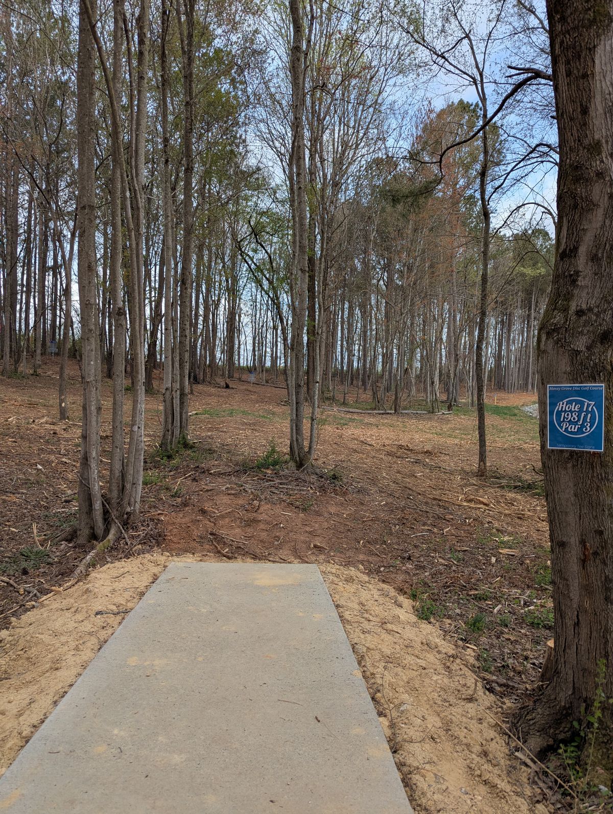 Hole 17