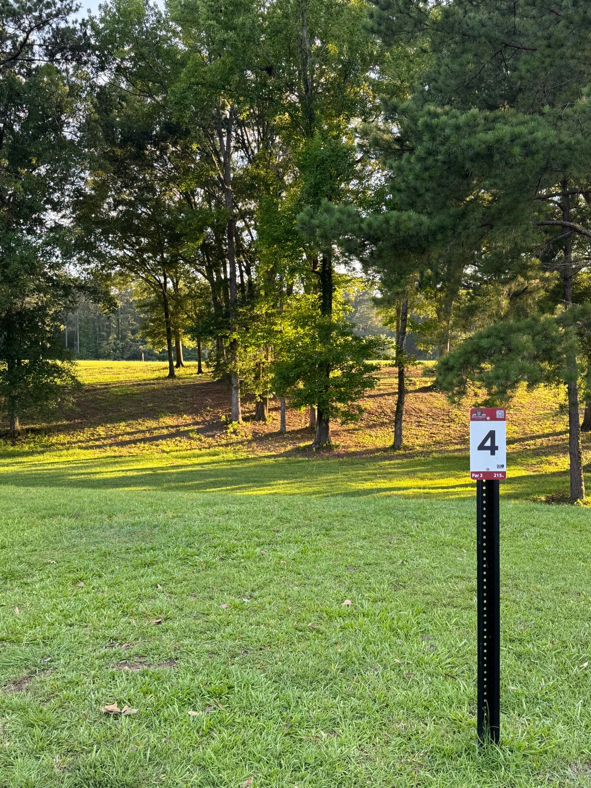 Hole 4 - Par 3