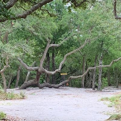 Hole 4 basket
