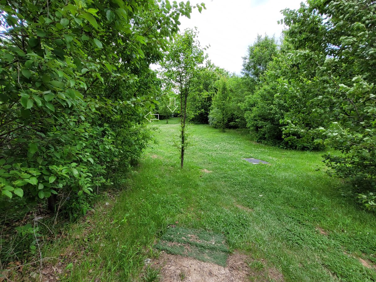 Hole 12 tee