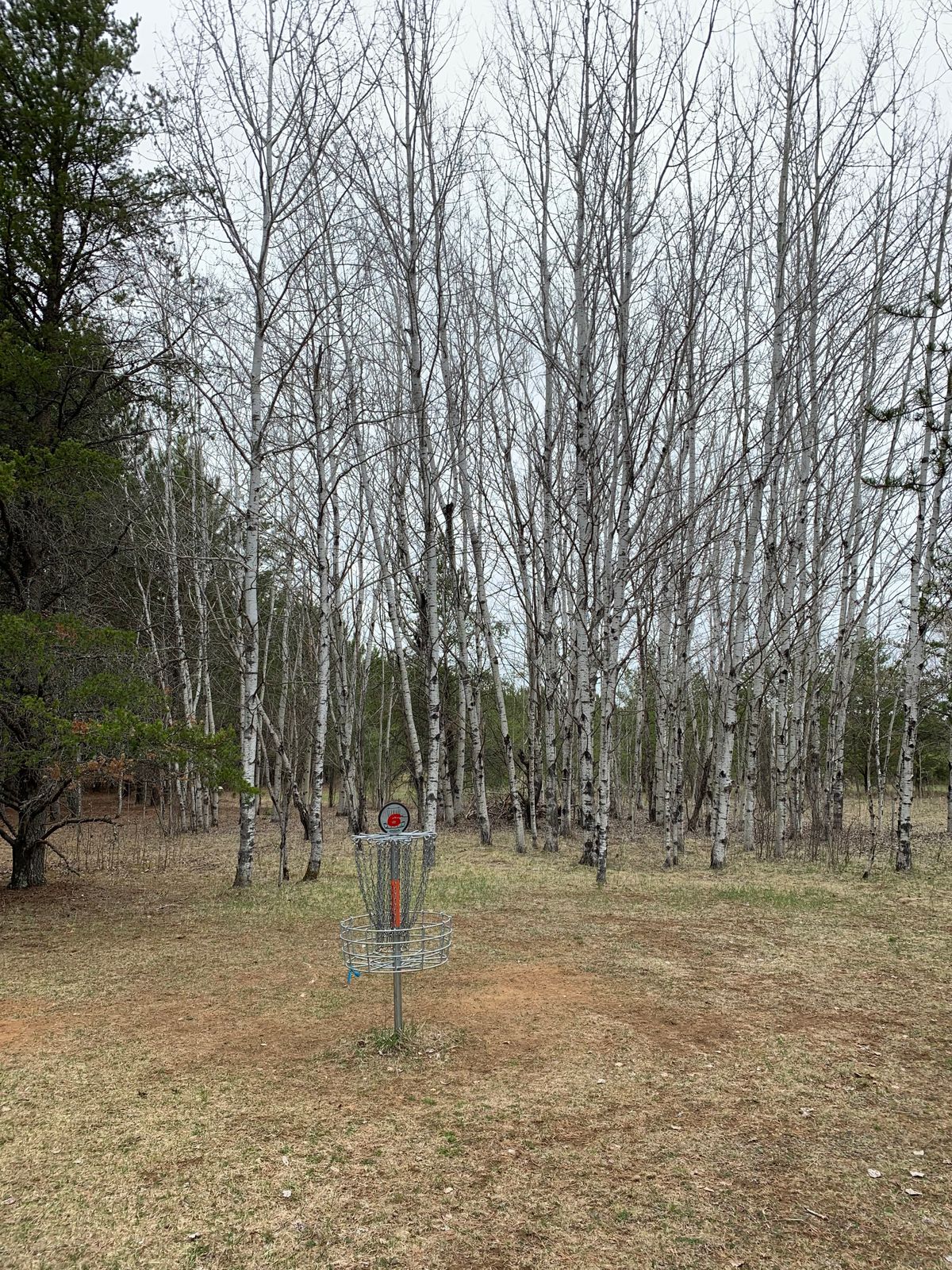 Hole 6 basket