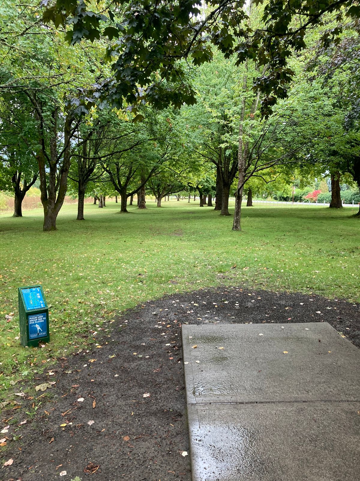 Hole 1 tee pad