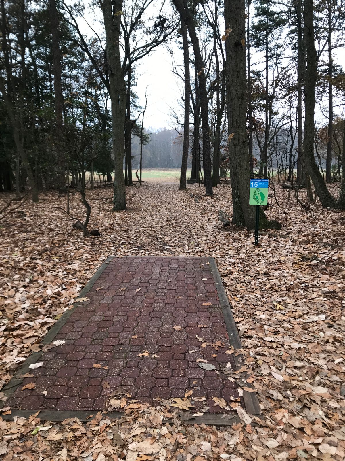 Hole 15 long tee
