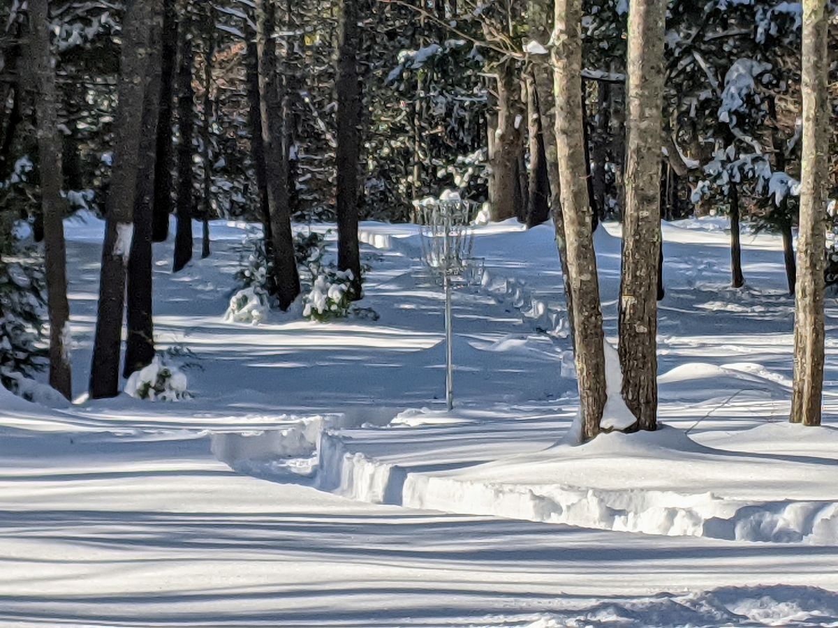Looking back at Hole #12 [w/the basket In the "1" position].