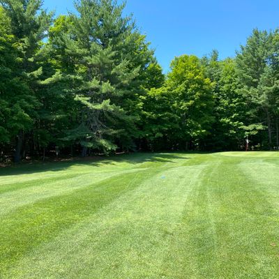 Basket to the left, hole to the right