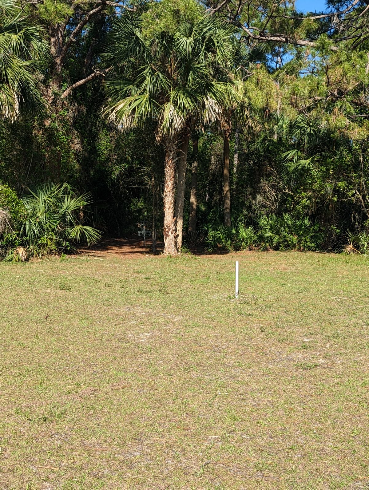 Hole 5 Basket
