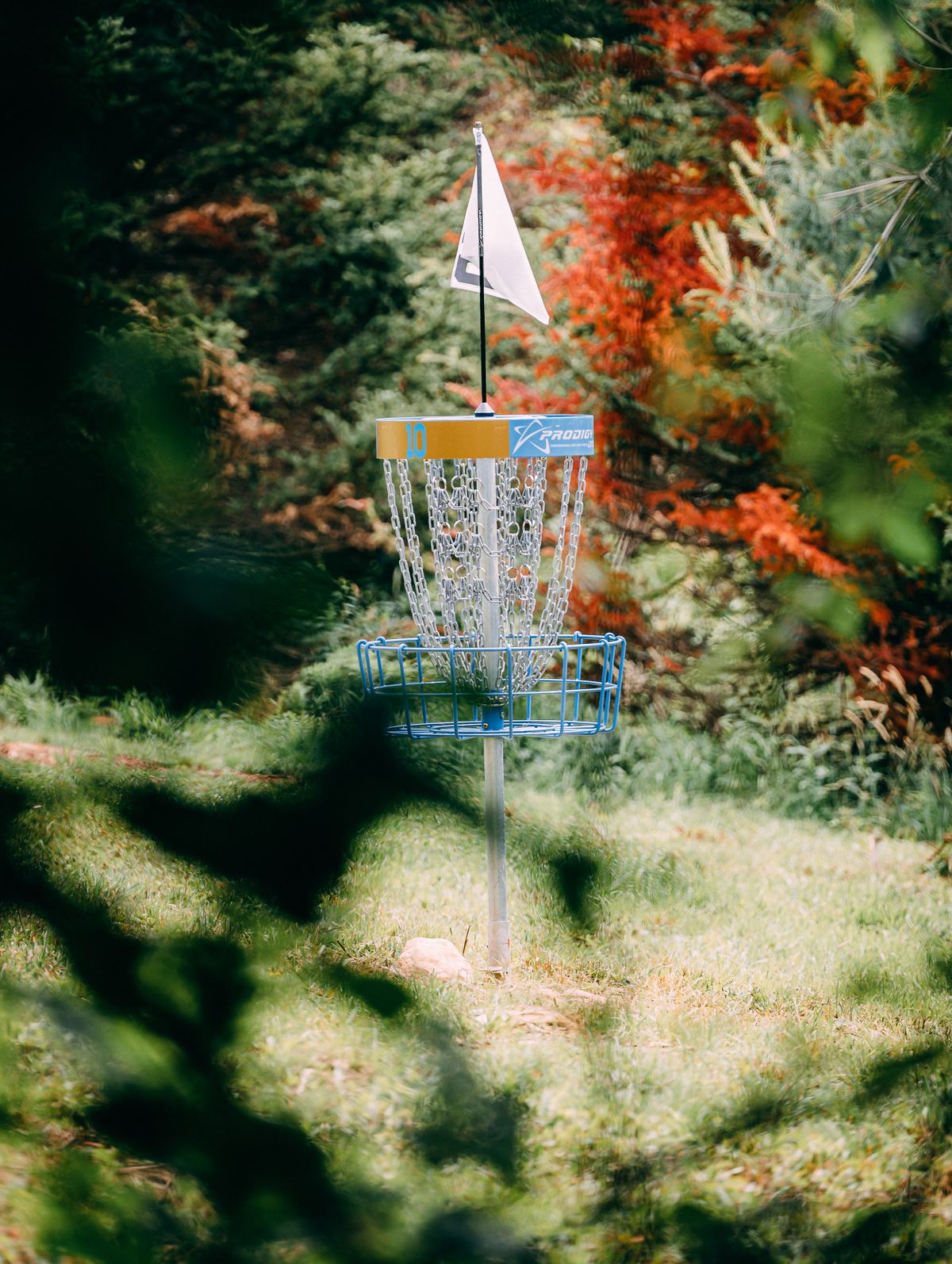 Beautiful hole 10